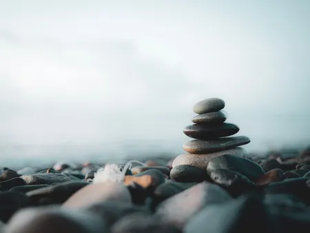 rocks